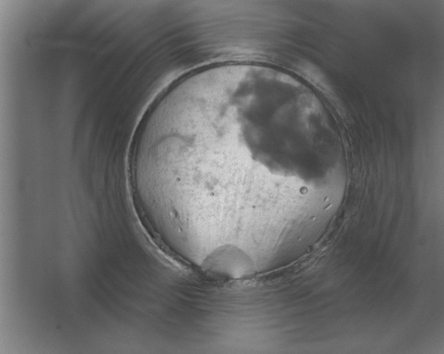 X0000067351283200604211952