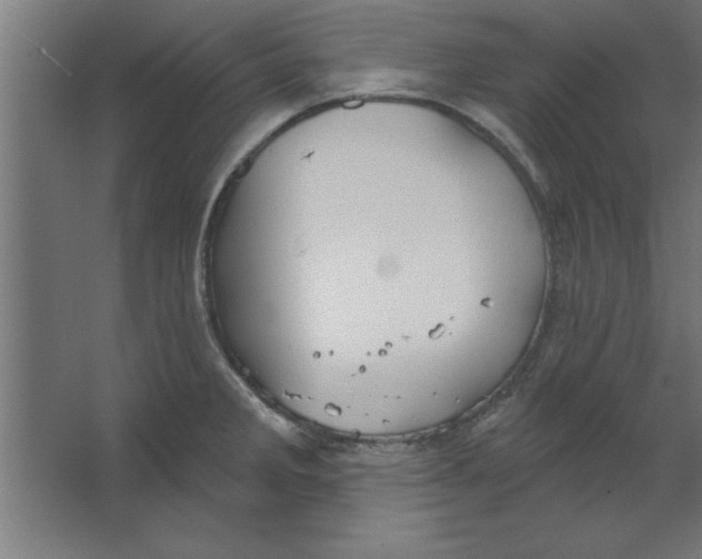 X0000067351285200604211952