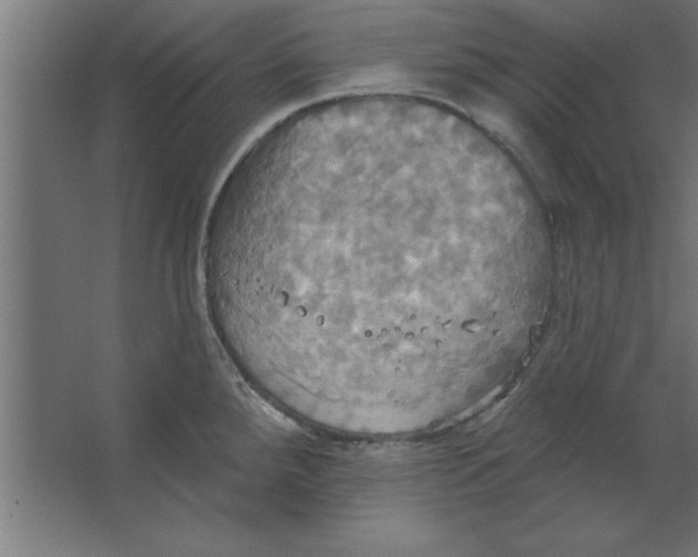 X0000067351288200604211952