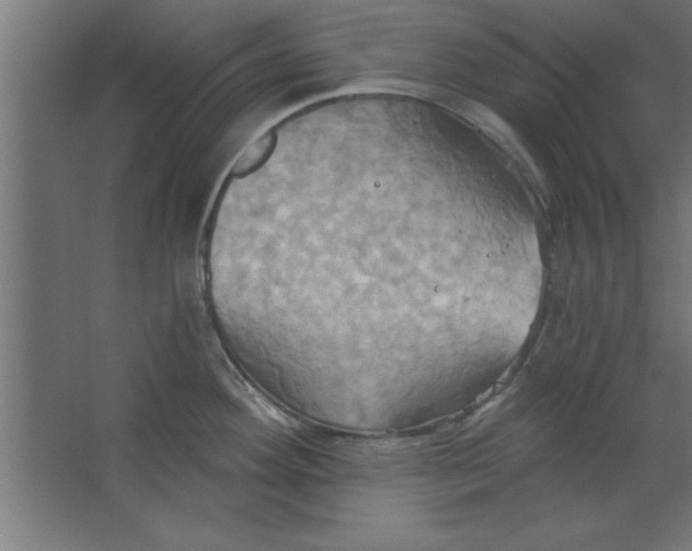 X0000067351292200604211952