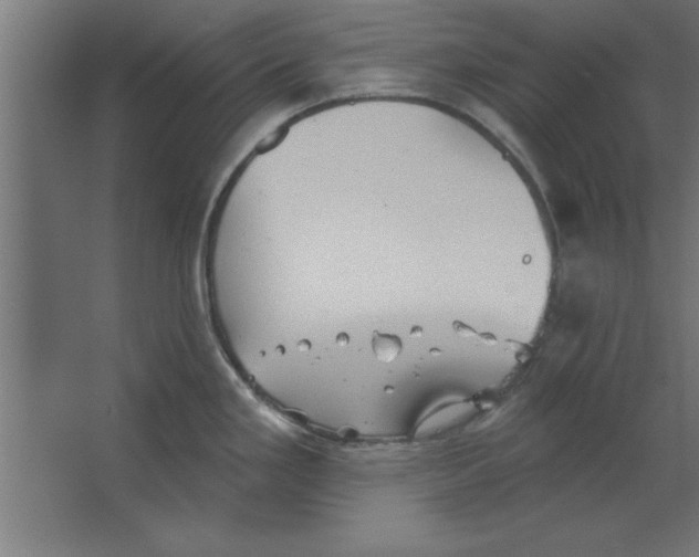 X0000067351293200604211952