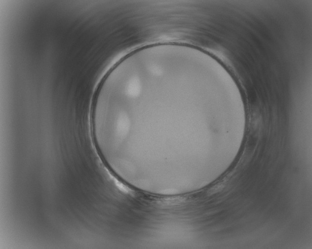 X0000067351294200604211952