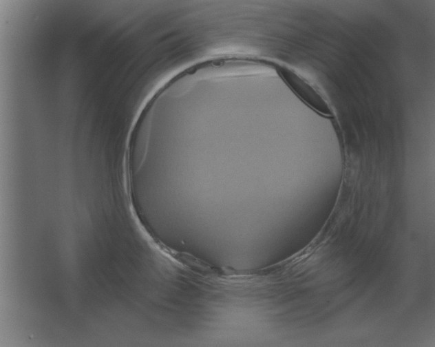 X0000067351295200604211952