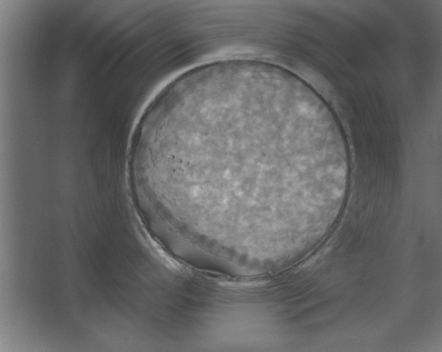 X0000067351296200604211952