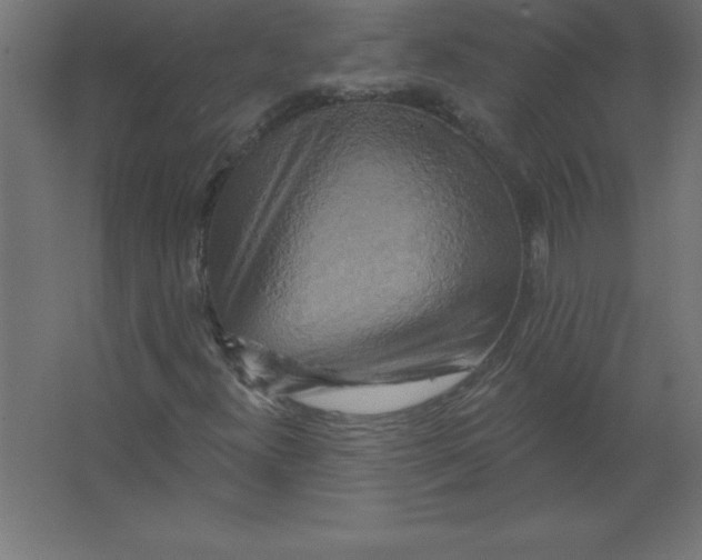 X0000067351300200604211951