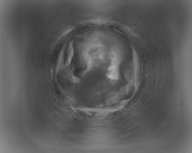 X0000067351302200604211951