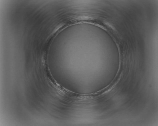 X0000067351305200604211951