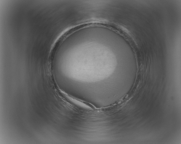 X0000067351310200604211951