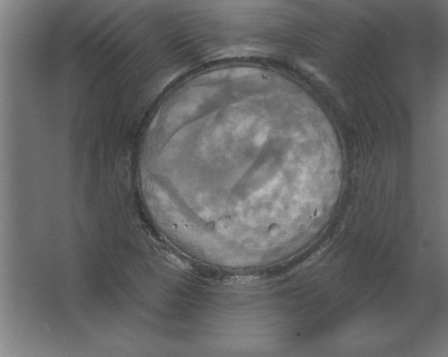 X0000067351313200604211951