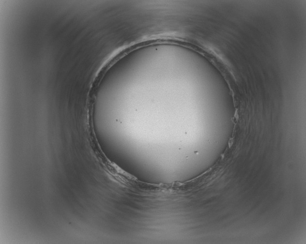 X0000067351316200604211951