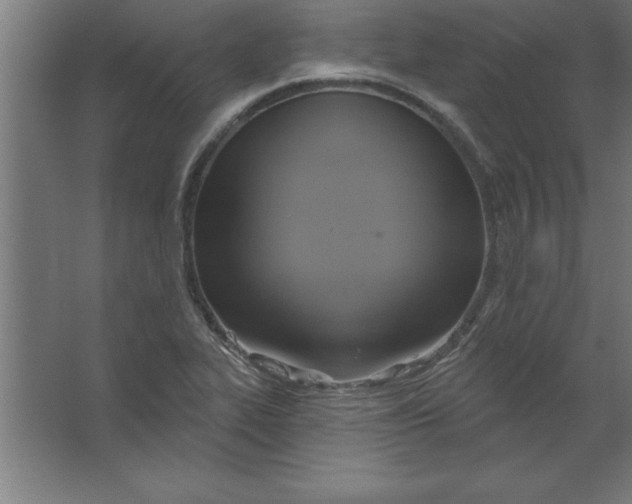 X0000067351319200604211951