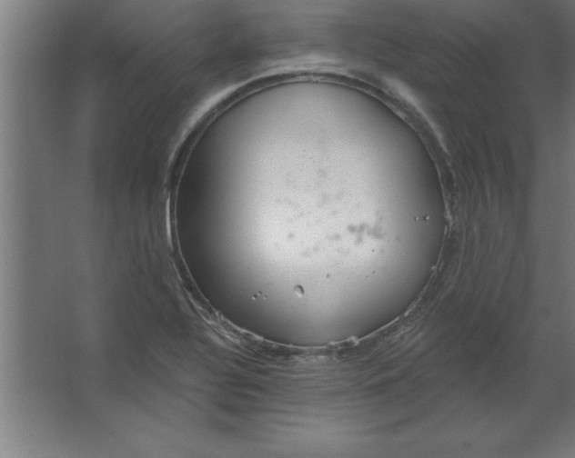 X0000067351320200604211951