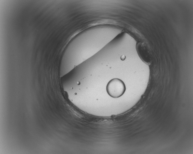 X0000067351321200604211951