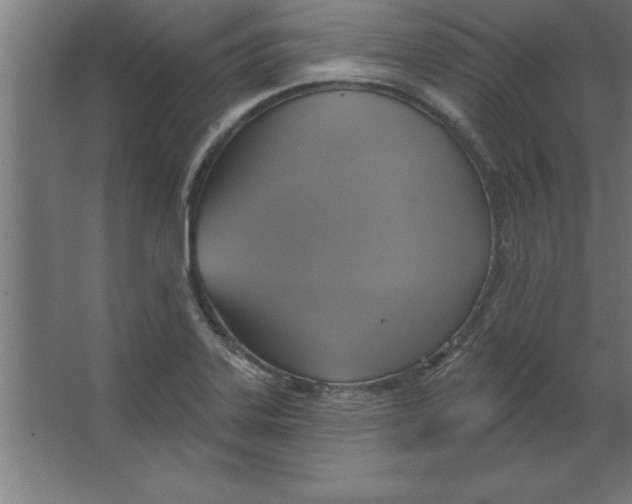 X0000067351323200604211951