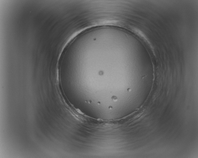 X0000067351324200604211951