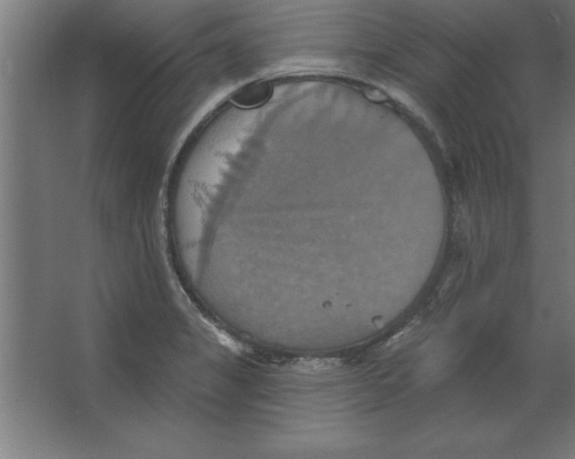 X0000067351325200604211951