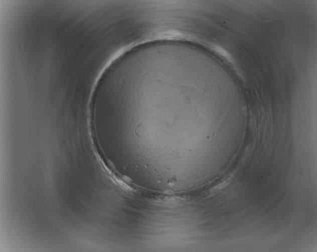 X0000067351326200604211951