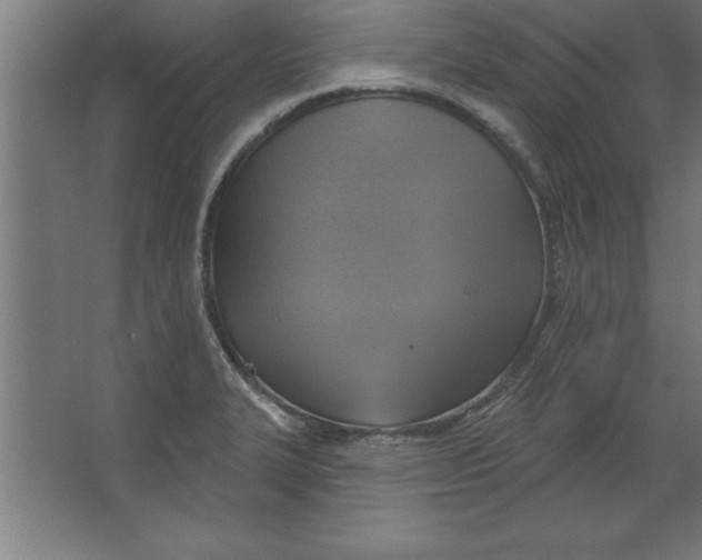 X0000067351327200604211951