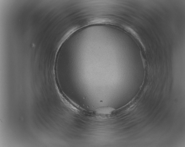 X0000067351330200604211951