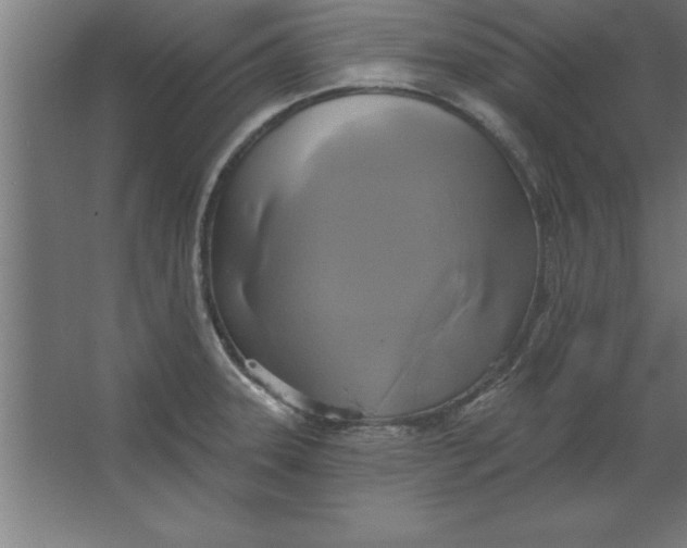 X0000067351331200604211951