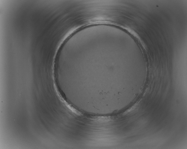 X0000067351333200604211951