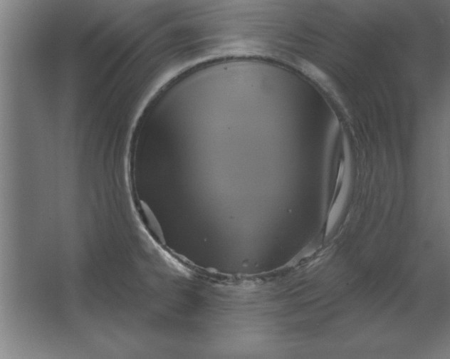 X0000067351334200604211951