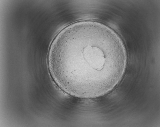 X0000067351338200604211951