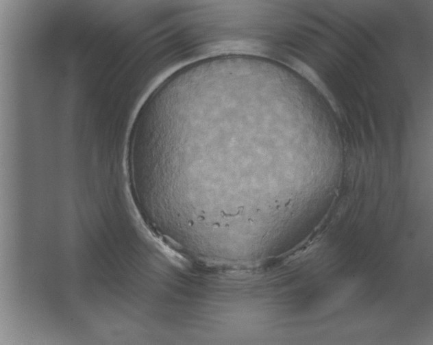 X0000067351339200604211952