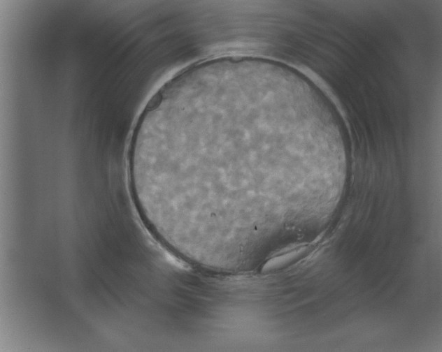 X0000067351341200604211952