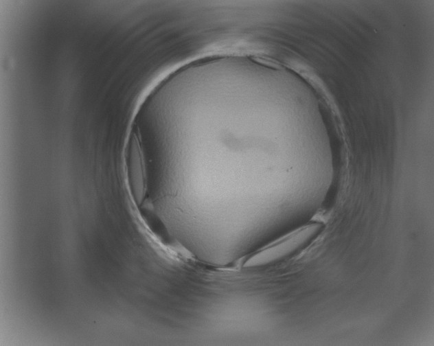 X0000067351344200604211952