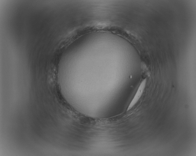 X0000067351349200604211951