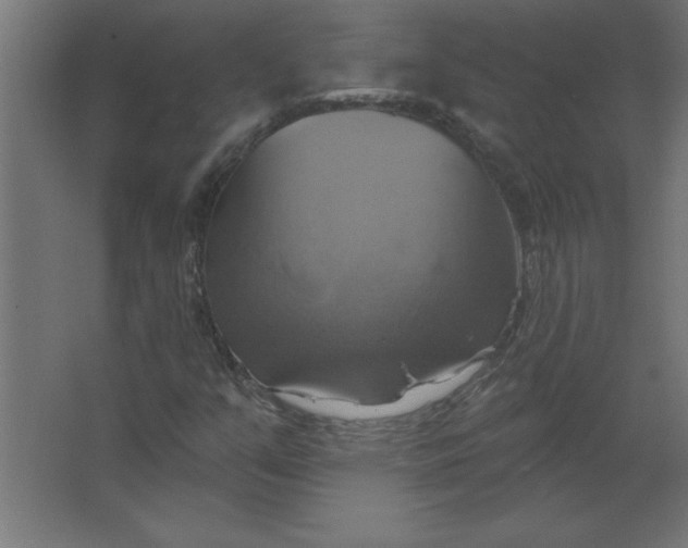 X0000067351351200604211951