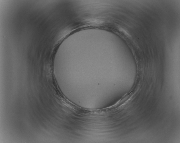 X0000067351354200604211951