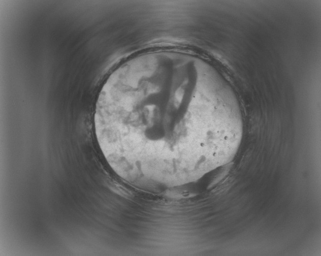 X0000067351355200604211951