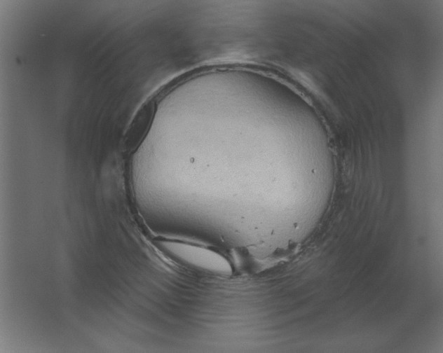 X0000067351356200604211951