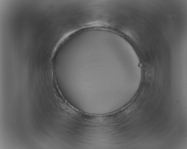 X0000067351358200604211951