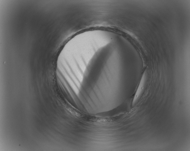 X0000067351359200604211951