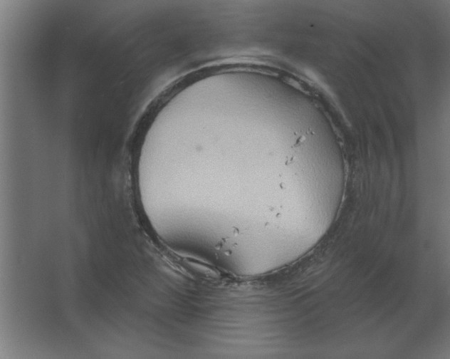 X0000067351360200604211951