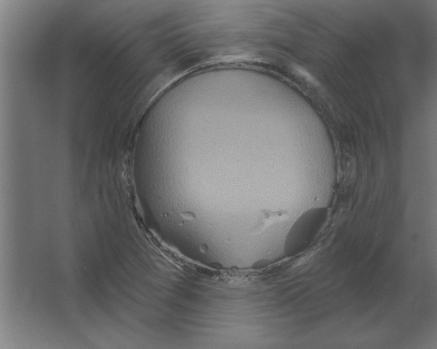 X0000067351361200604211951