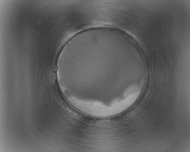 X0000067351363200604211950