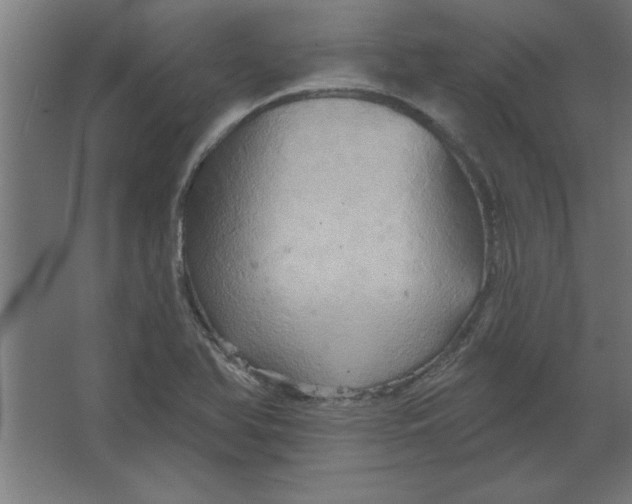 X0000067351366200604211950