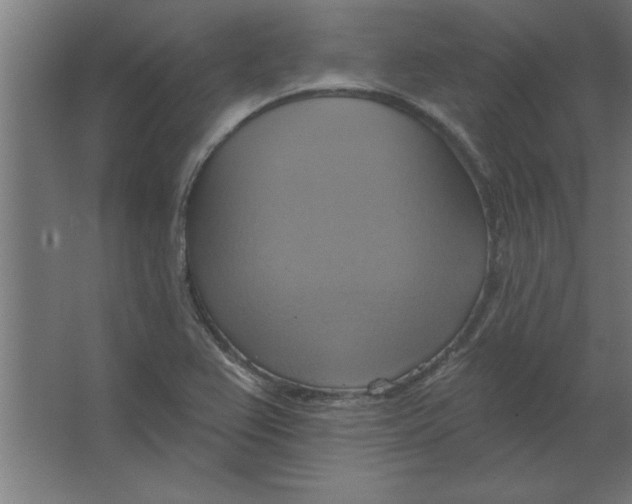 X0000067351367200604211950