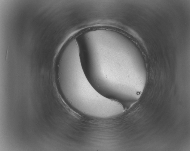 X0000067351368200604211950