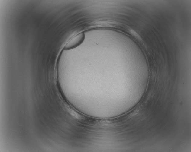 X0000067351370200604211950