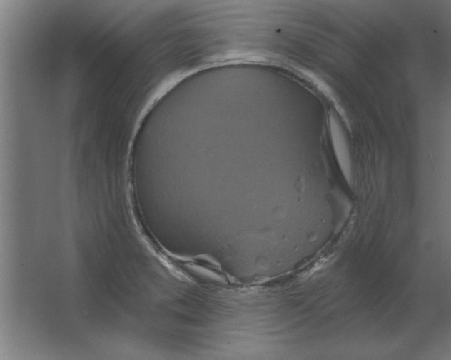 X0000067351373200604211950