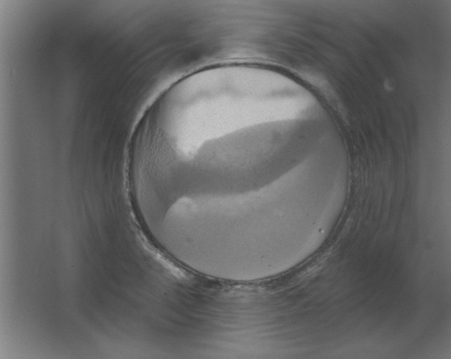 X0000067351374200604211950