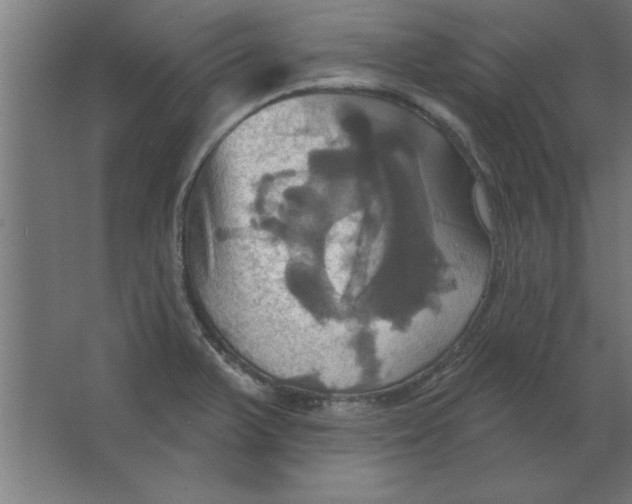 X0000067351375200604211950