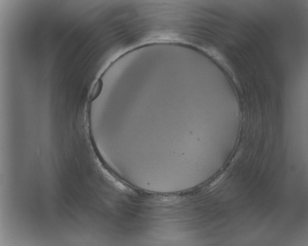 X0000067351382200604211950