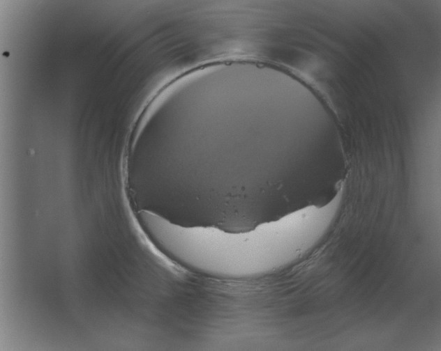 X0000067351383200604211950