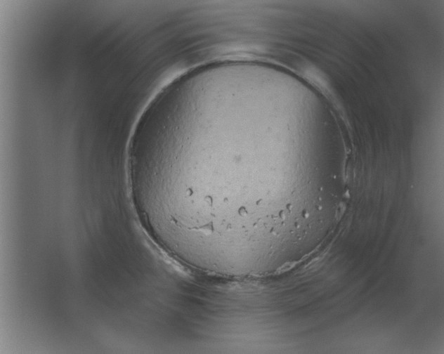 X0000067351384200604211950